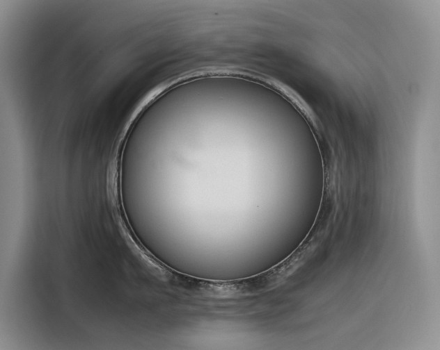 X0000116270911200912071040