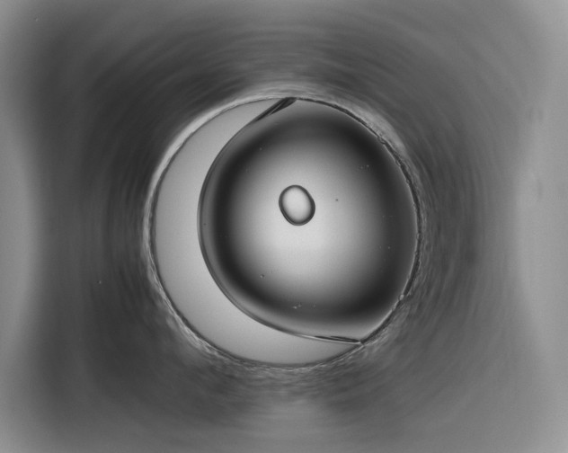 X0000116270912200912071040