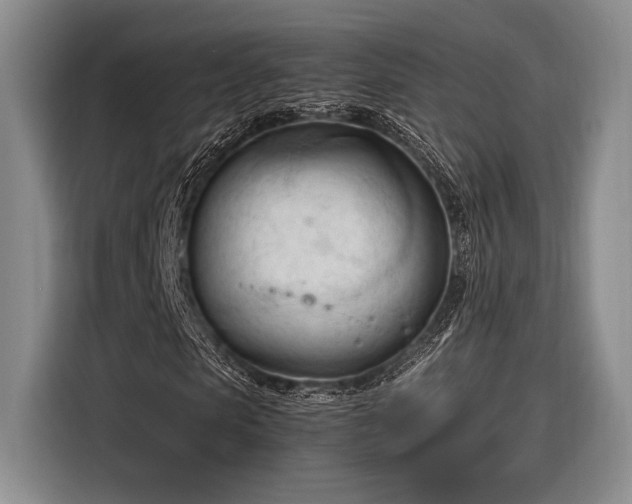 X0000116270913200912071039