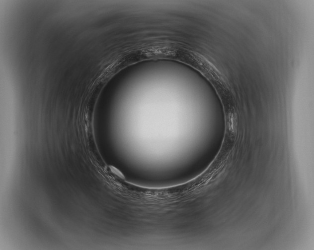X0000116270915200912071039