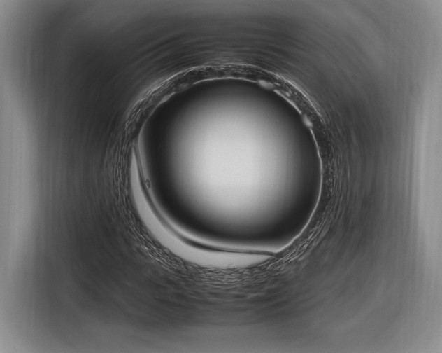 X0000116270919200912071039