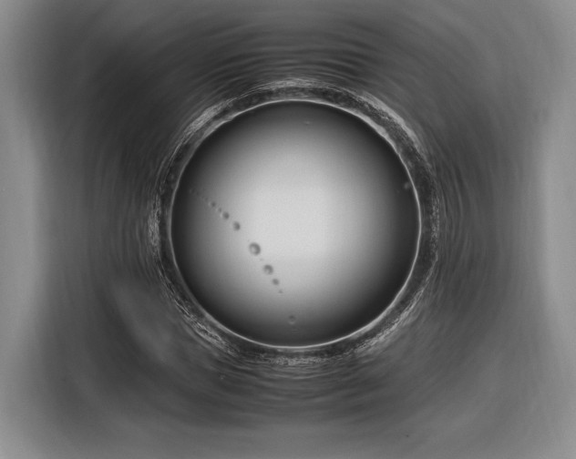 X0000116270921200912071039