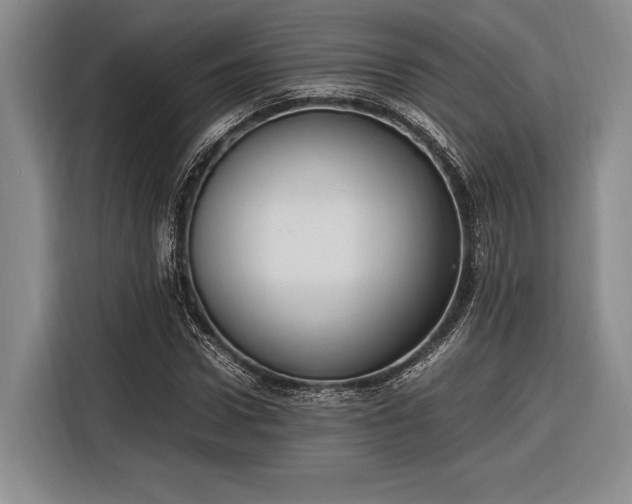 X0000116270922200912071039