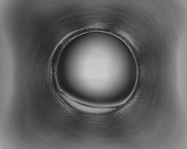 X0000116270923200912071039