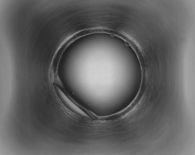 X0000116270925200912071039