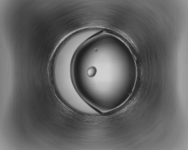 X0000116270926200912071039