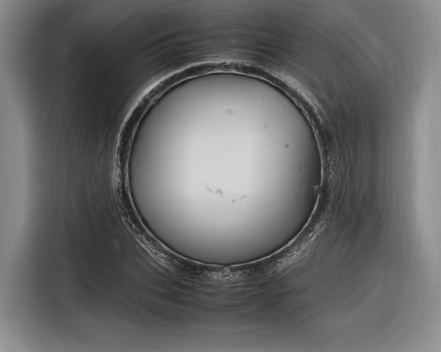 X0000116270927200912071039