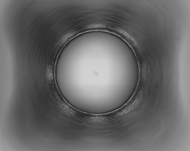 X0000116270929200912071039