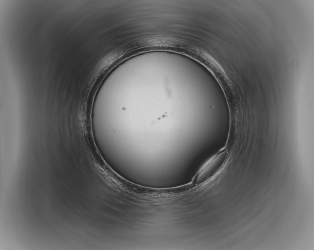 X0000116270930200912071039