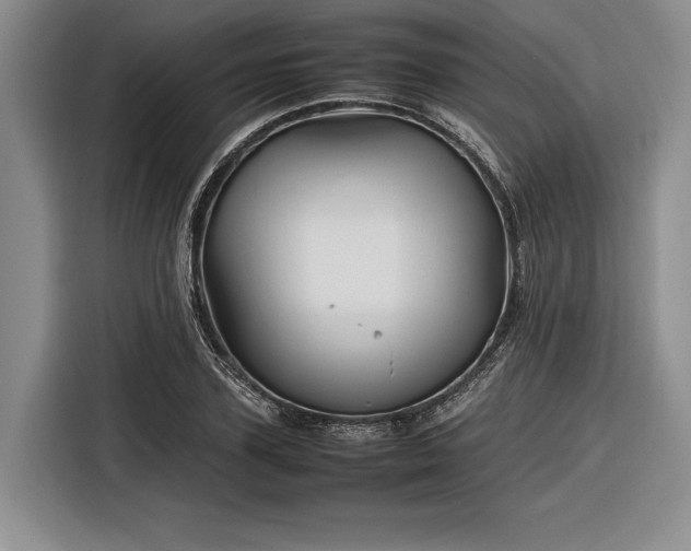 X0000116270931200912071039