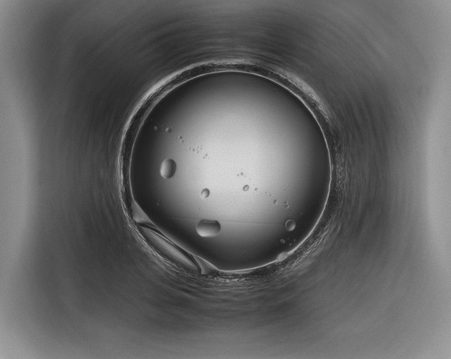 X0000116270935200912071039