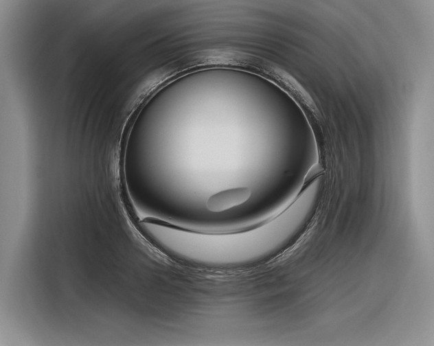 X0000116270938200912071039