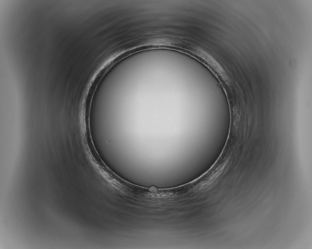 X0000116270939200912071039