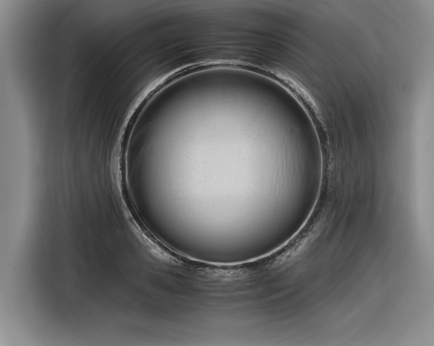 X0000116270941200912071039