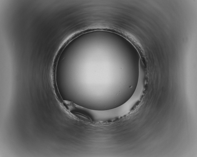 X0000116270942200912071039
