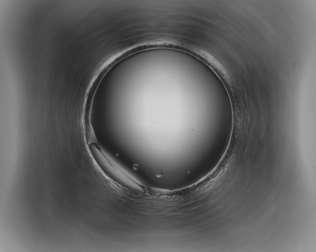 X0000116270943200912071039