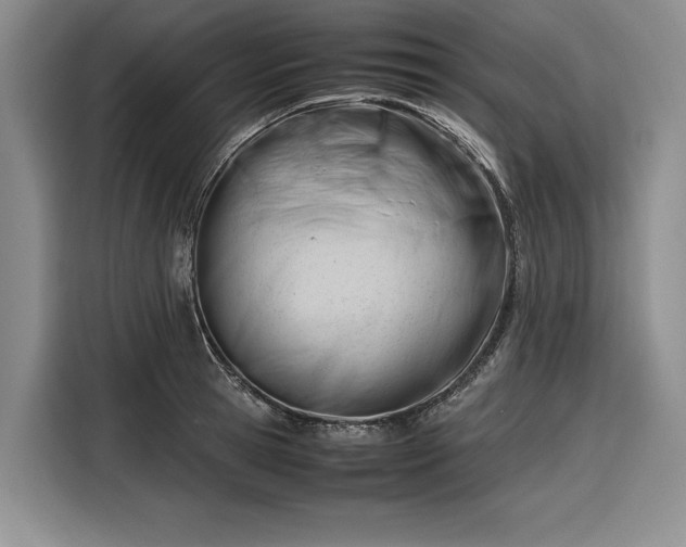 X0000116270945200912071039