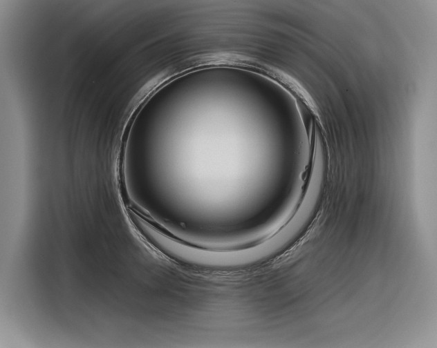 X0000116270946200912071039