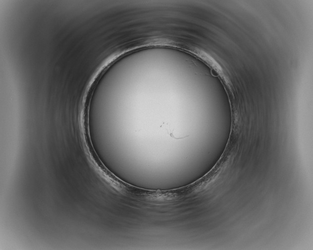 X0000116270947200912071039