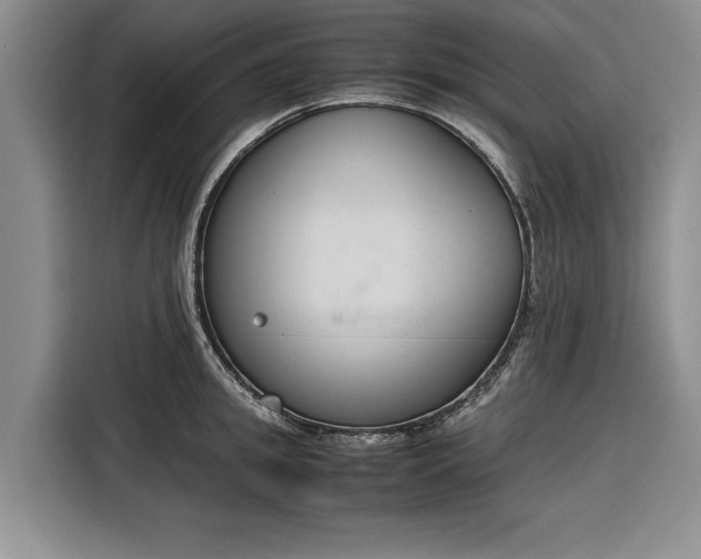 X0000116270949200912071039