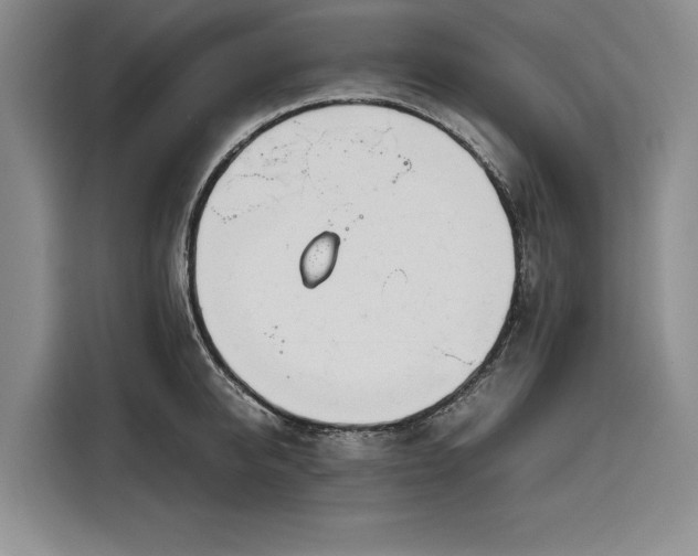 X0000116270950200912071040