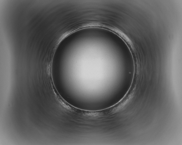 X0000116270953200912071040