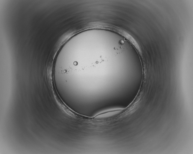 X0000116270954200912071040