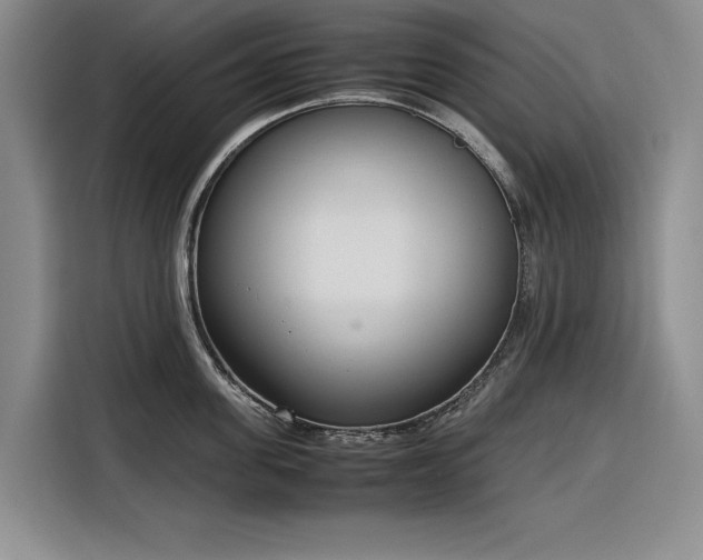 X0000116270955200912071040