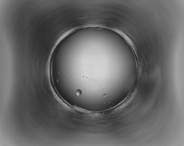 X0000116270957200912071040