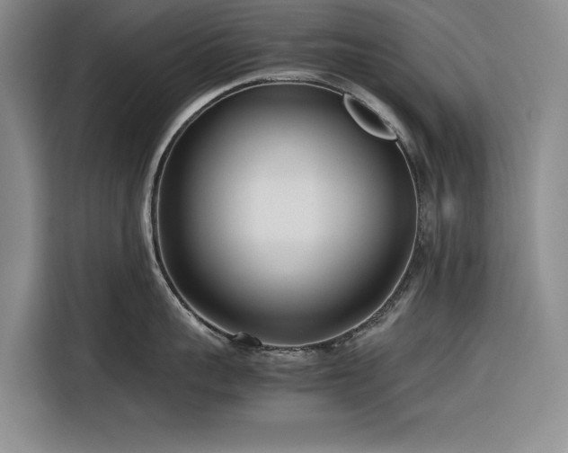 X0000116270959200912071040