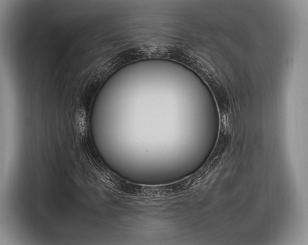 X0000116270963200912071039