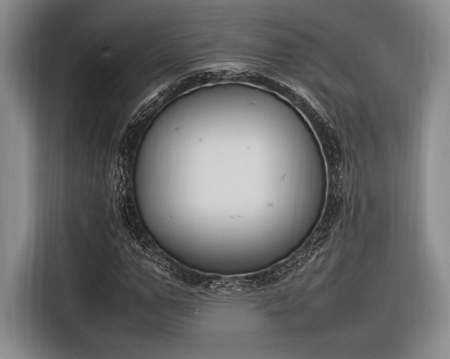 X0000116270967200912071039