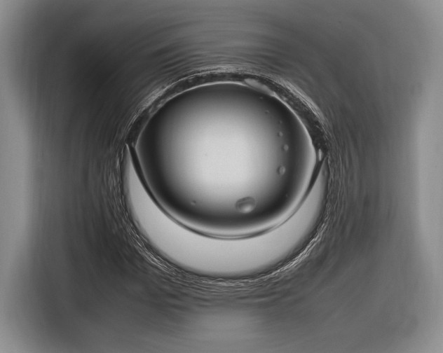 X0000116270969200912071039