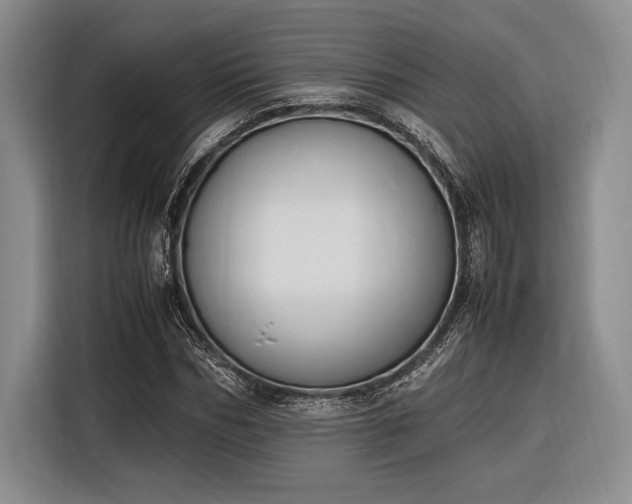 X0000116270970200912071039