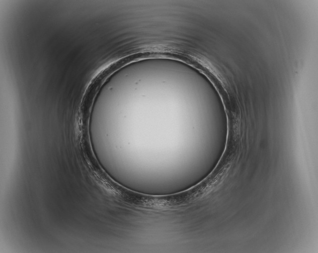 X0000116270971200912071039