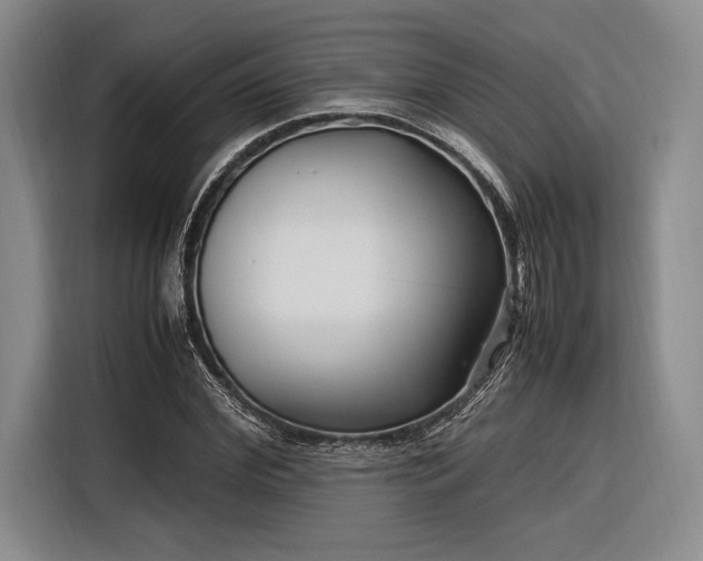 X0000116270972200912071039