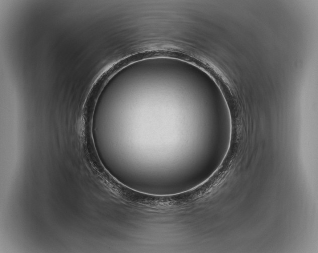 X0000116270975200912071039