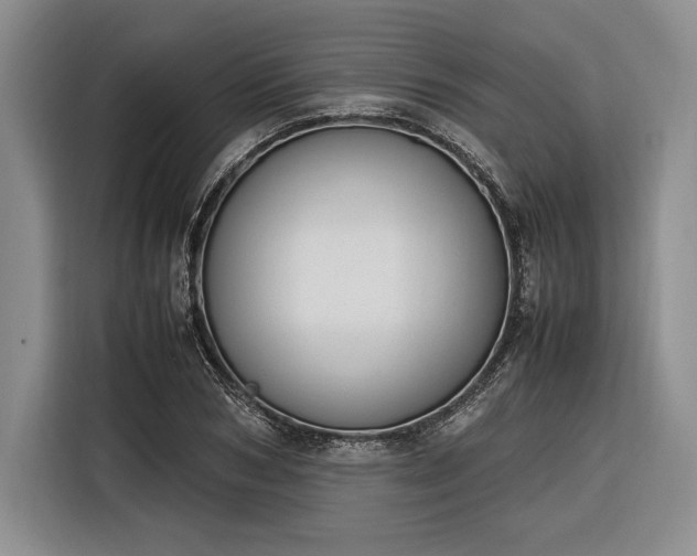 X0000116270978200912071039