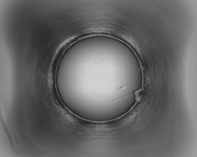 X0000116270979200912071039