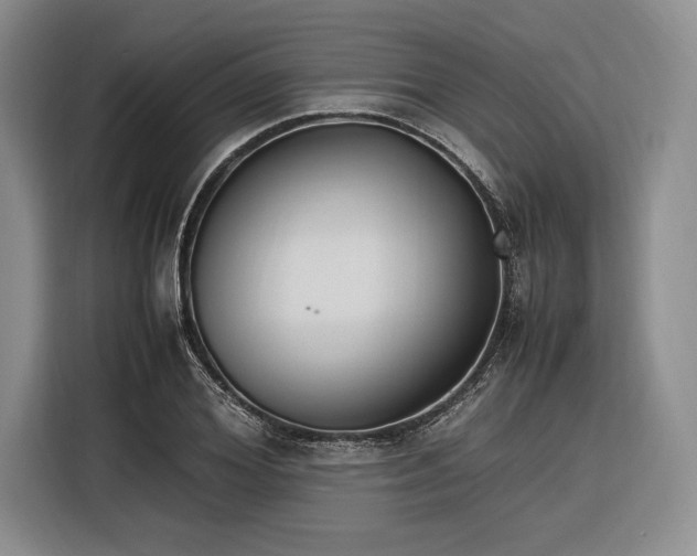 X0000116270980200912071039