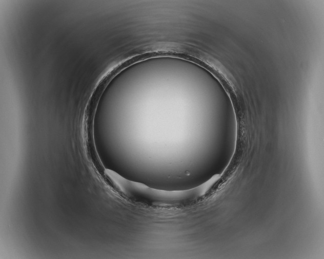 X0000116270983200912071039