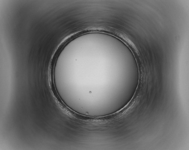 X0000116270984200912071039