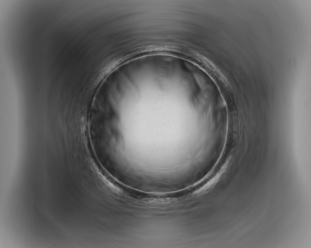 X0000116270985200912071039