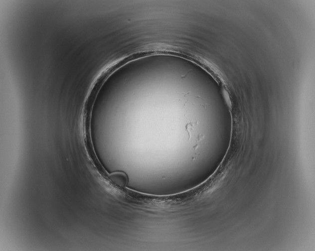 X0000116270987200912071039