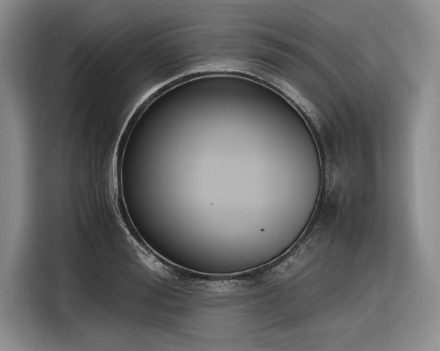 X0000116270988200912071039