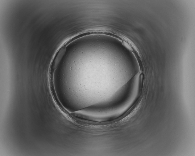 X0000116270989200912071039