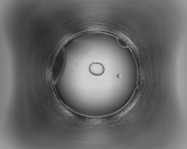 X0000116270993200912071039