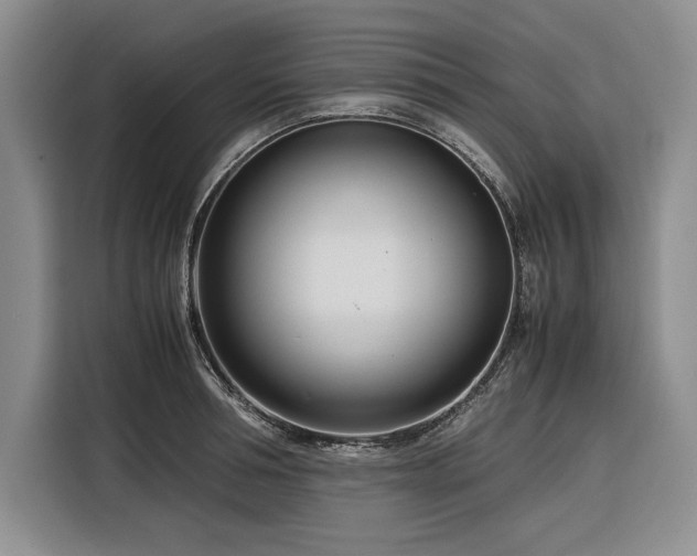X0000116270994200912071039