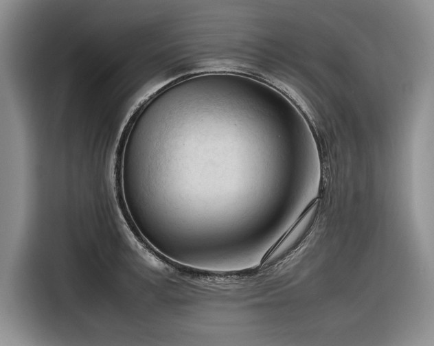 X0000116270995200912071039