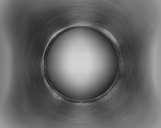 X0000116270996200912071039